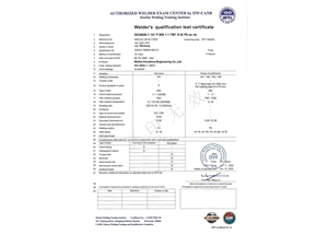 TIG-FM1-PA（ss，nb）---Liu Wenlong