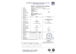 SMAW-FM2-PF（ss，mb）---Qu Ziqiang